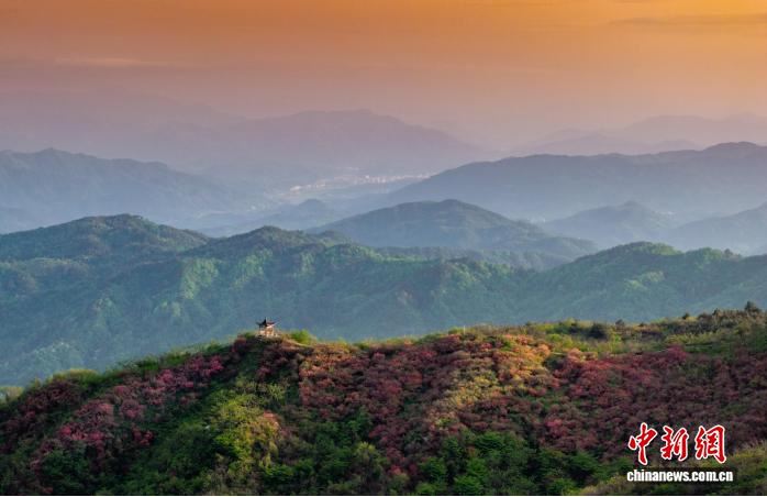 ����ɭ�����������2.7��������